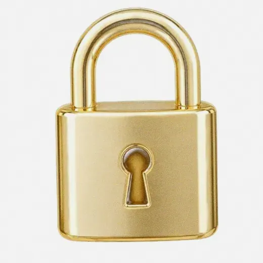 Metal padlock — Wild Fortune