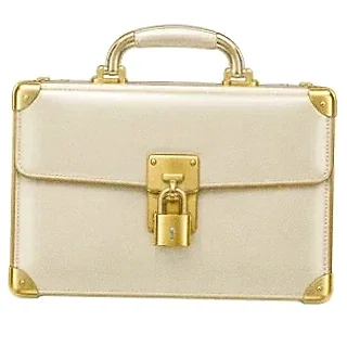 Locked leather briefcase — Wild Fortune