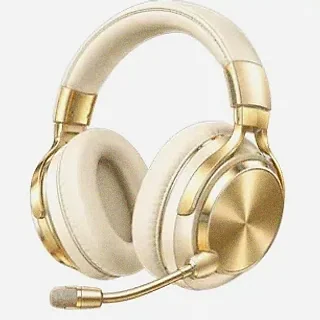 Gaming headset — Wild Fortune