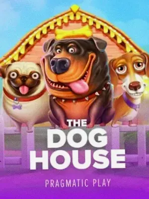 The Dog House at Wild Fortune