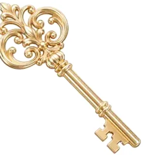Ornate antique key — Wild Fortune