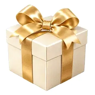 Wrapped gift box — Wild Fortune